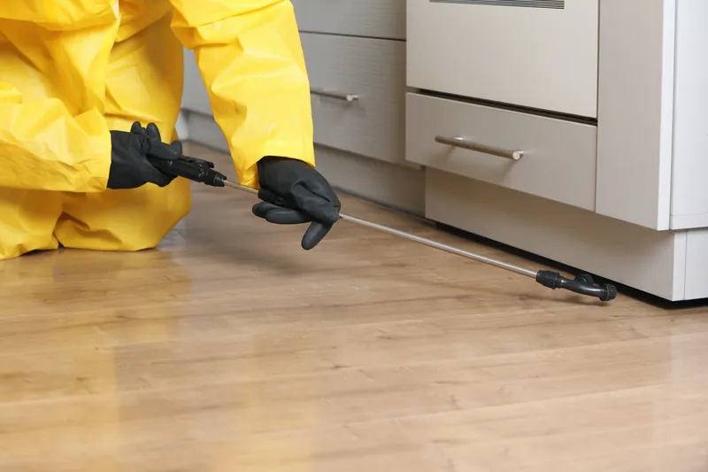 exterminator treatment in a kitchen